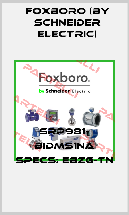 SRP981- BIDMS1NA SPECS: EBZG-TN Foxboro (by Schneider Electric)