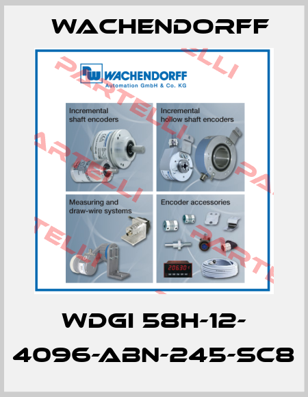 WDGI 58H-12- 4096-ABN-245-SC8 Wachendorff