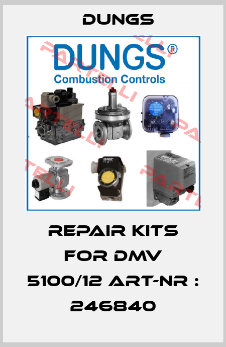 repair kits for DMV 5100/12 Art-Nr : 246840 Dungs