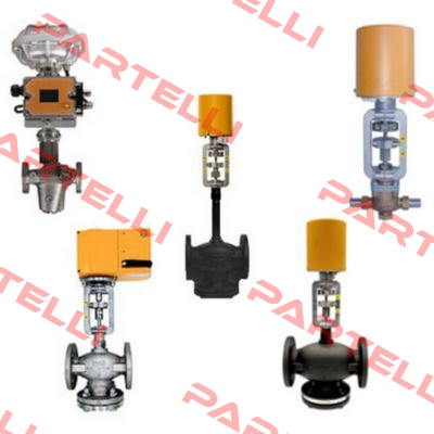 347-005 Baelz