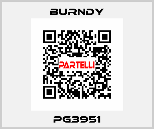PG3951 Burndy