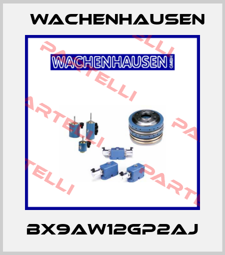 BX9AW12GP2AJ Wachenhausen