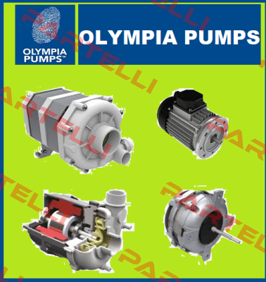 Oil seals kit for Model T.6 OLYMPIA PUMPS