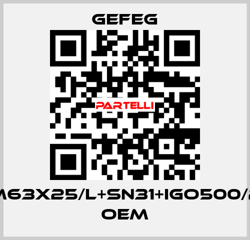 M63x25/l+sn31+igo500/2 OEM Gefeg
