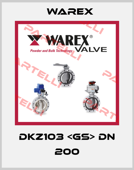 DKZ103 <GS> DN 200 Warex