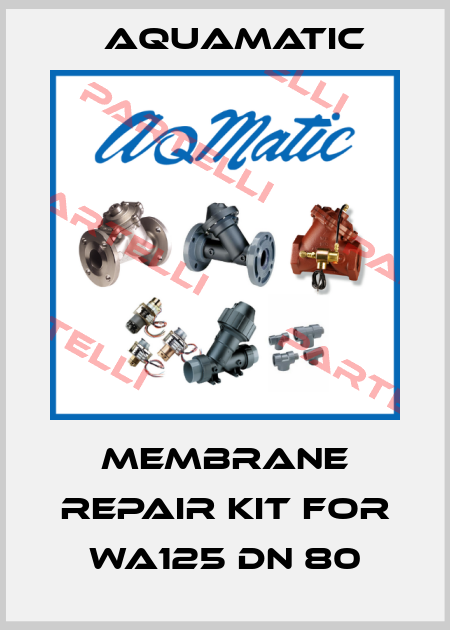 membrane repair kit for WA125 DN 80 AquaMatic
