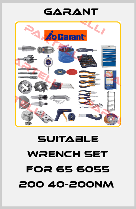 SUITABLE WRENCH SET FOR 65 6055 200 40-200NM  Garant