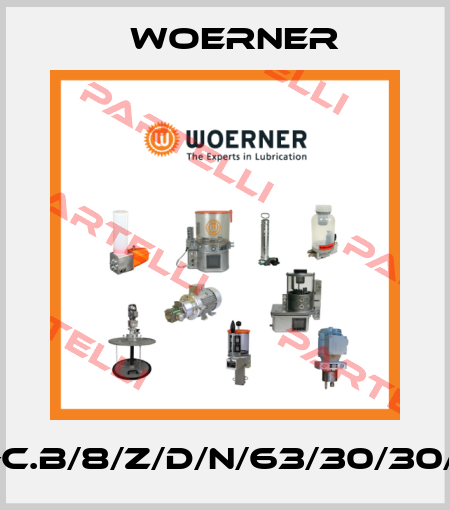VPA-C.B/8/Z/D/N/63/30/30/30/P Woerner