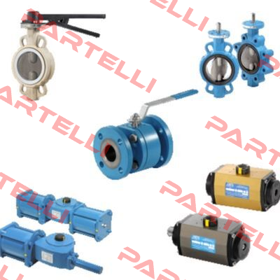 Pneumatic control for valve APASDAOBG1BWS Sirca