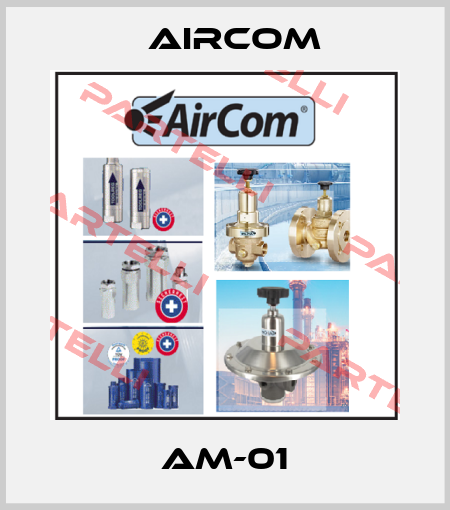AM-01 Aircom