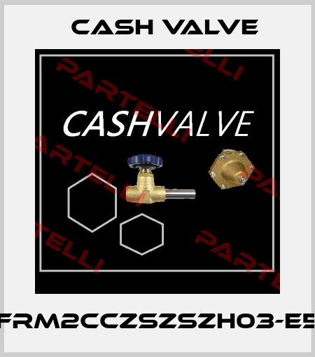 FRM2CCZSZSZH03-E5 Cash Valve