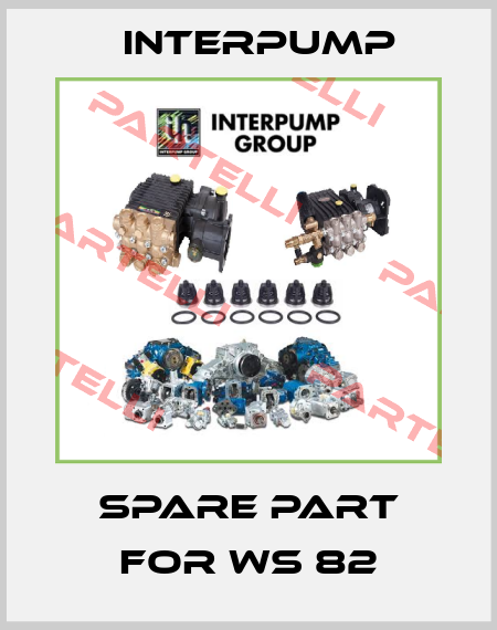 spare part for WS 82 Interpump