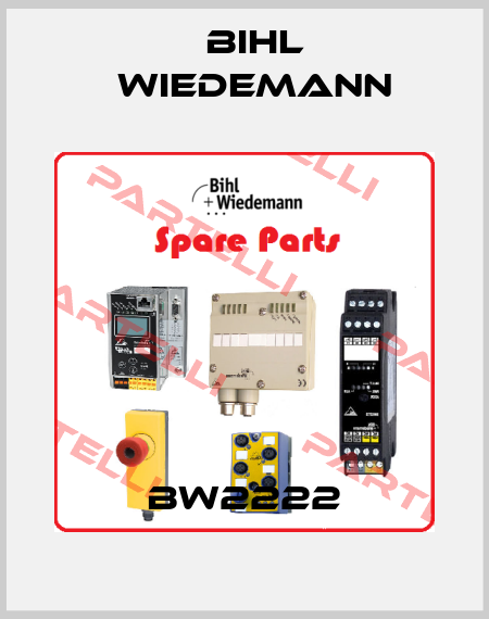 BW2222 Bihl Wiedemann