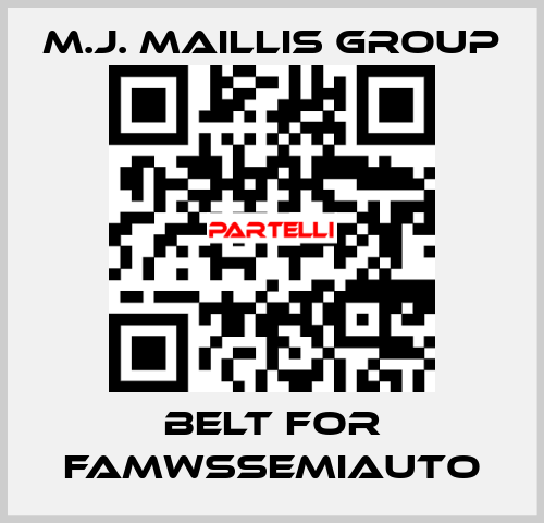 belt for FAMWSSEMIAUTO M.J. MAILLIS GROUP