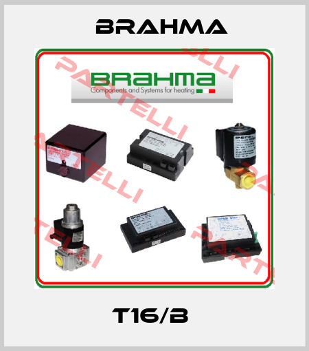 T16/B  Brahma