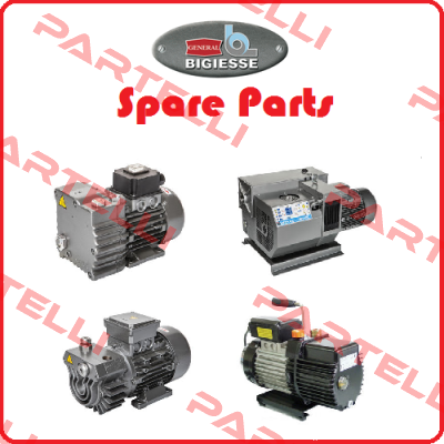 P100-170 BIGIESSE BGS GENERAL SRL