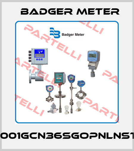 1001GCN36SGOPNLNST Badger Meter