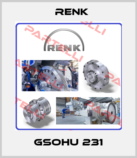 GSOHU 231 Renk
