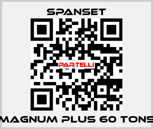 magnum plus 60 tons SpanSet