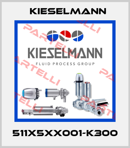 511X5XX001-K300 Kieselmann