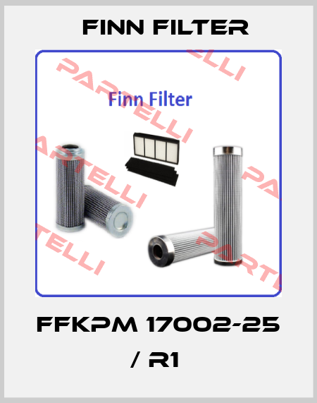  FFKPM 17002-25 / R1  Finn Filter