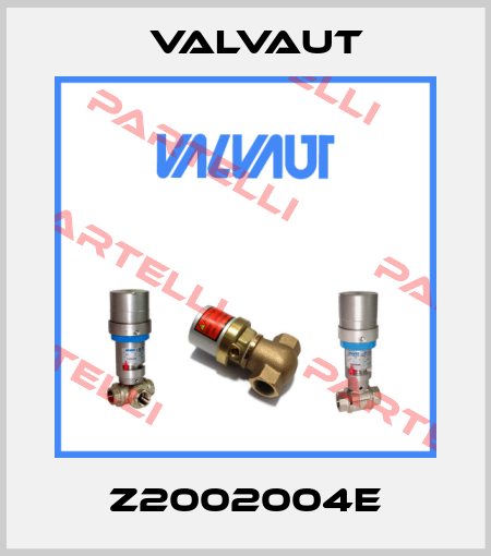 Z2002004E Valvaut