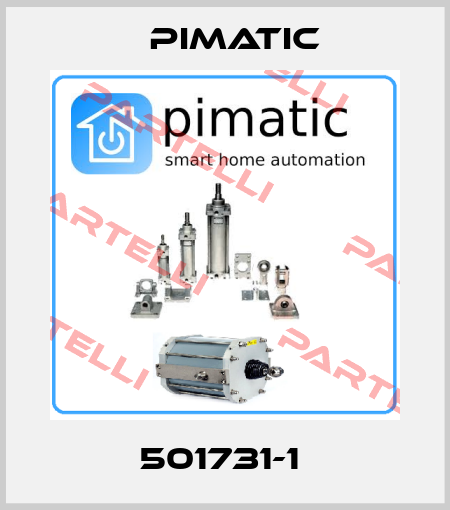 501731-1  Pimatic