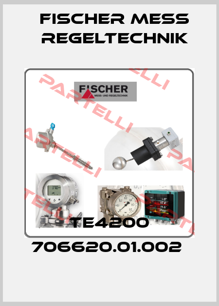 TE4200 706620.01.002  Fischer Mess Regeltechnik
