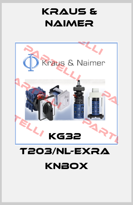 KG32  T203/NL-EXRA  KNBOX Kraus & Naimer
