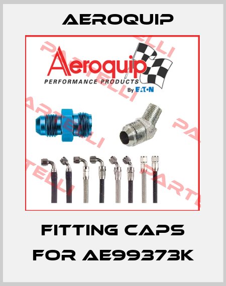 fitting caps for AE99373K Aeroquip