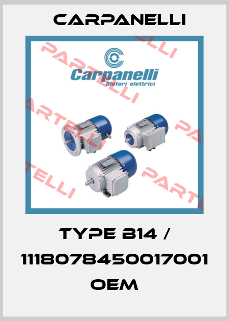 Type B14 / 1118078450017001 OEM Carpanelli
