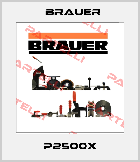 P2500X Brauer