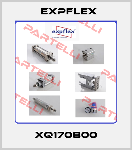 XQ170800 EXPFLEX