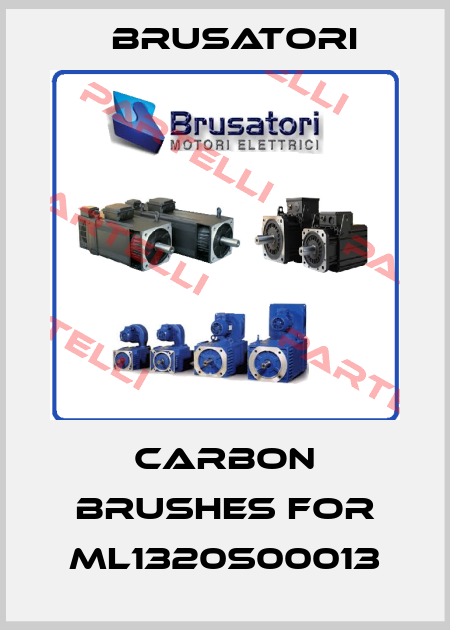 carbon brushes for ML1320S00013 Brusatori