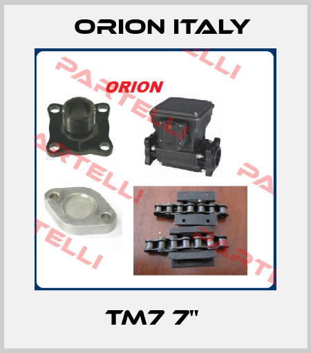TM7 7"  Orion Italy