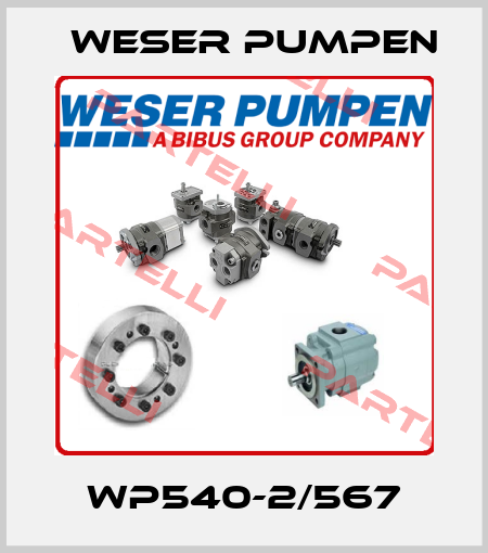 WP540-2/567 Weser Pumpen
