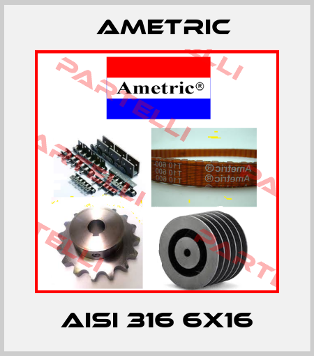 AISI 316 6X16 Ametric
