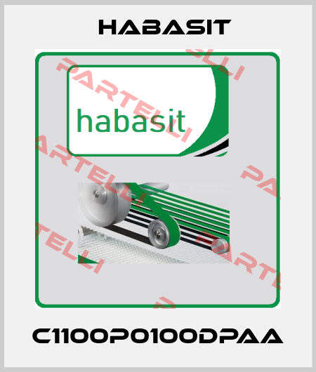 C1100P0100DPAA Habasit