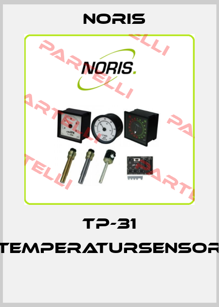 TP-31 Temperatursensor  Noris