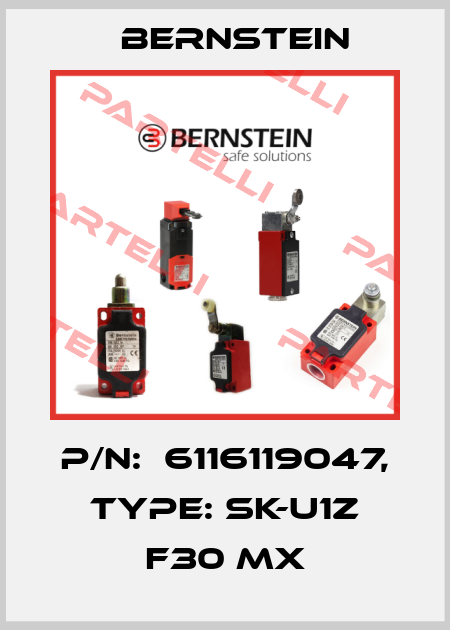P/N:  6116119047, Type: SK-U1Z F30 MX Bernstein