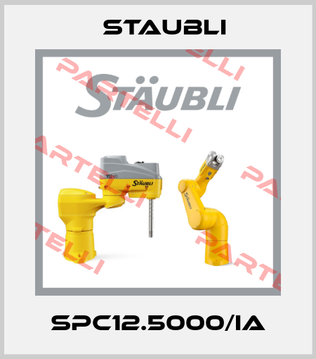 SPC12.5000/IA Staubli