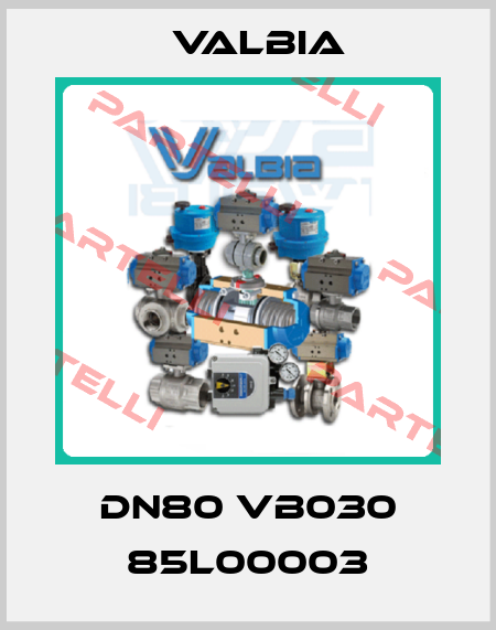 DN80 VB030 85L00003 Valbia