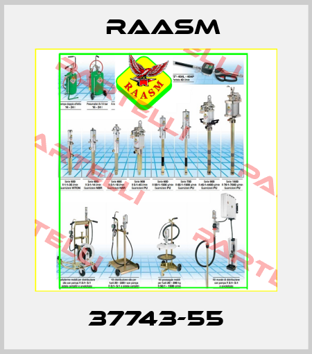 37743-55 Raasm