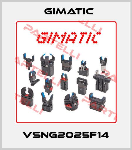 VSNG2025F14 Gimatic
