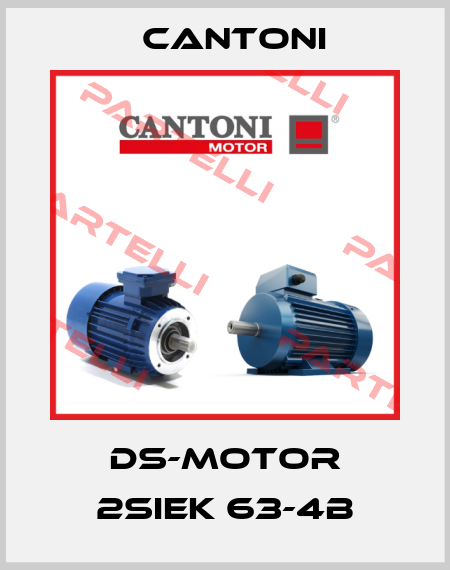 DS-Motor 2SIEK 63-4B Cantoni