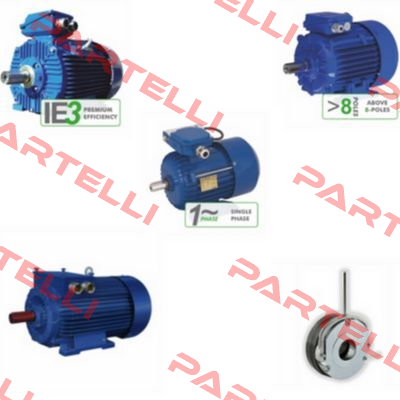 DS-Motor 2SIEK 63-4B Cantoni