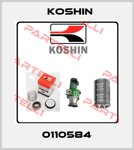 0110584 Koshin
