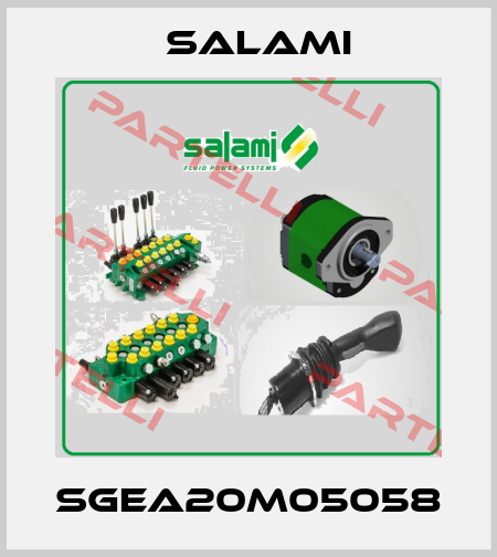 SGEA20M05058 Salami