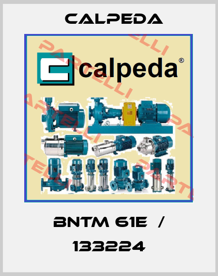 BNTM 61E  / 133224 Calpeda