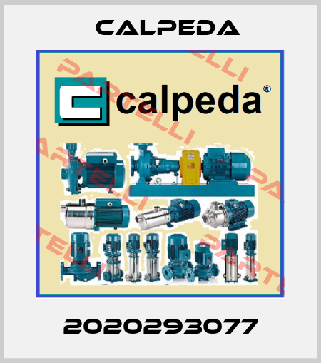 2020293077 Calpeda